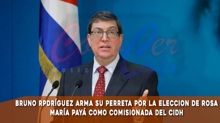 Régimen cubano entra en colera por elección de Payá