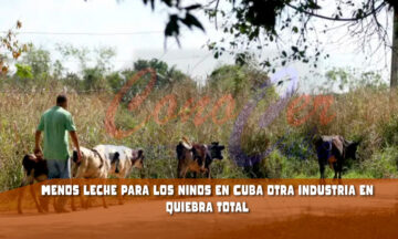 Cada vez se produce menos leche en Cuba
