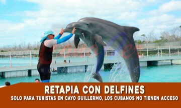 Terapía con delfines para turistas no para cubanos