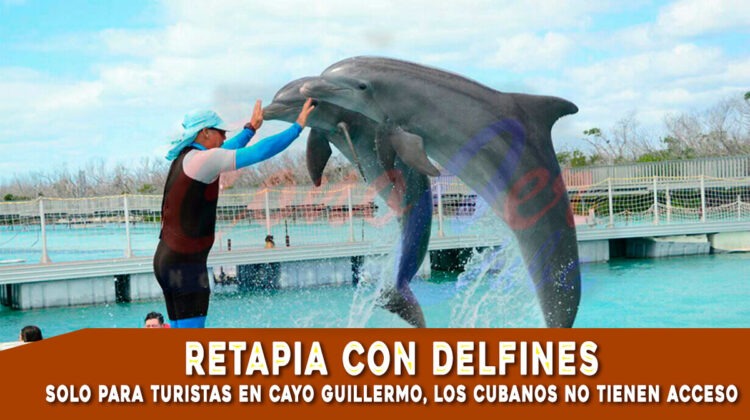 Terapía con delfines para turistas no para cubanos