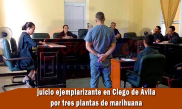 Celebran juicio ejemplarizante en ciego de Ávila por tres plantas de marihuana