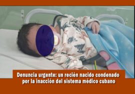 Denuncia y un llamado urgente al mundo