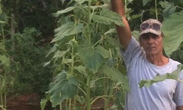 Roberto Blanco un agricultor de Nueva Gerona que el gobierno no le permite crecer por su forma de pensar