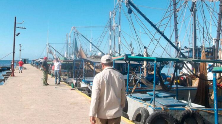 Cuba habla de exportar camarón cuando el pueblo pasa por una hambruna