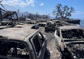 Incendios en Maui, Hawái dejan al menos un saldo de 80 muertos, se espera que la cifra siga aumentando