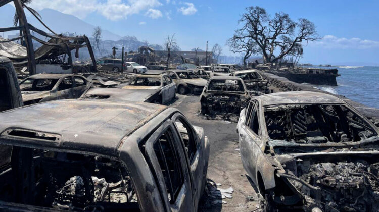 Incendios en Maui, Hawái dejan al menos un saldo de 80 muertos, se espera que la cifra siga aumentando
