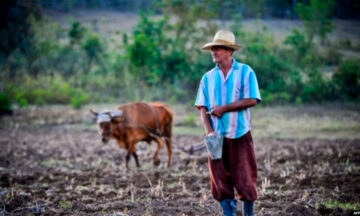 Agricultura cubana esta en crisis desde antes de la pandemia