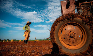 Campesinos cubanos culpan al régimen de Cuba por el destrozo de la economía comunista