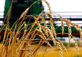 Funcionarios de agricultura visitan Cuba