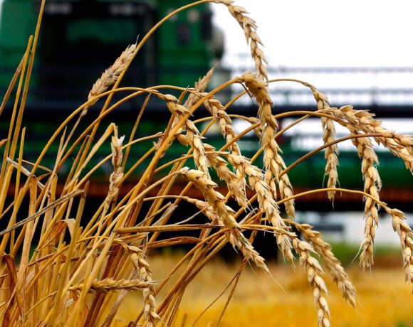 Funcionarios de agricultura visitan Cuba