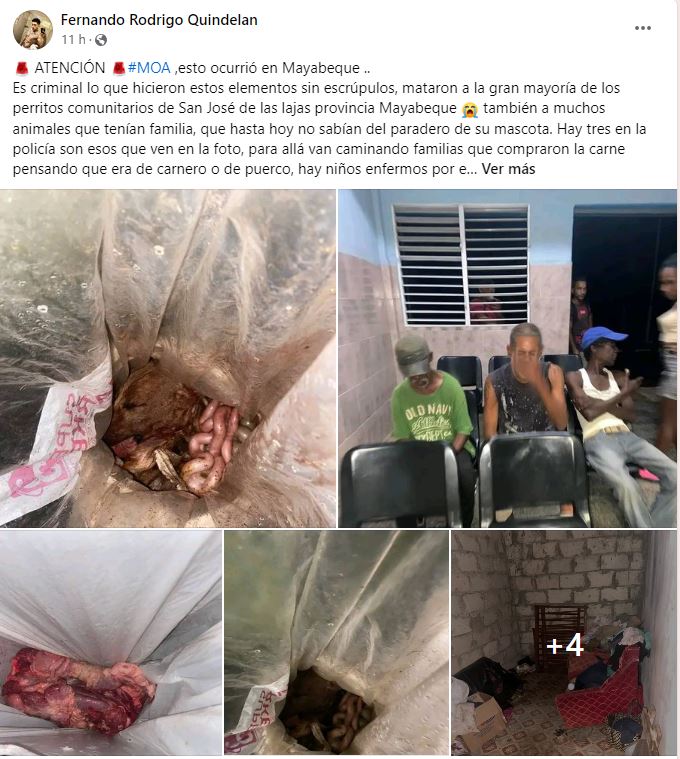 Vendedores de carne de perro en Cuba
