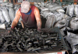 OCDH denuncia que reos cubanos son obligados a trabajar en el carbón en Cuba