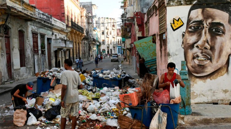 El Oropouche sigue ganando terreno en Cuba