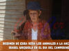 Régimen de Cuba roba animales de anciana cubana