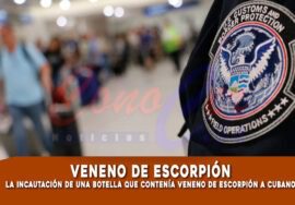 Incautan botella con veneno de escorpión a cubano en Houston