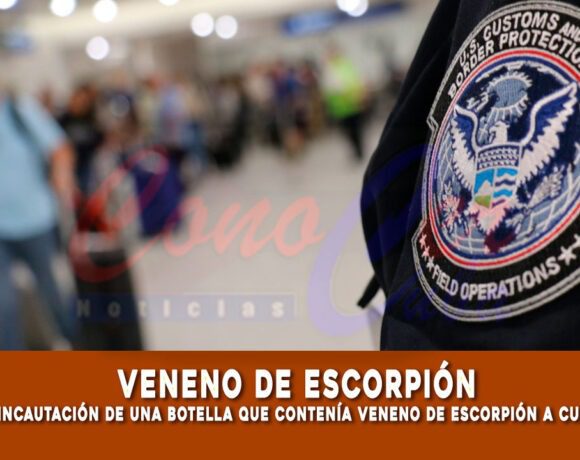 Incautan botella con veneno de escorpión a cubano en Houston