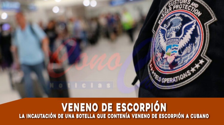 Incautan botella con veneno de escorpión a cubano en Houston