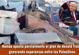 Hamás aprueba parcialmente la propuesta de Trump