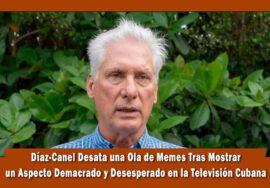Díaz-Canel fue objeto de burla entre los cubanos