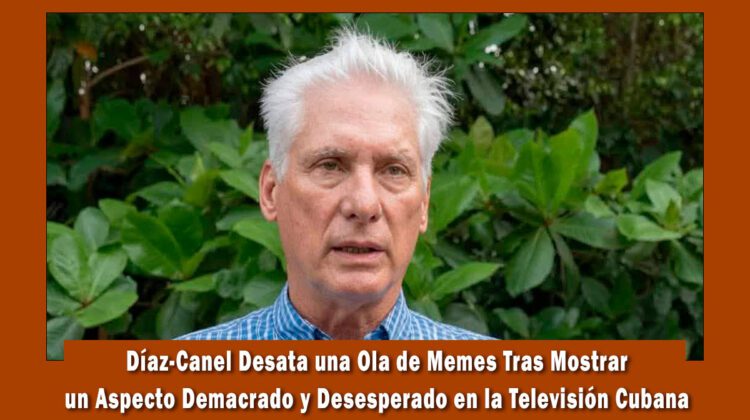 Díaz-Canel fue objeto de burla entre los cubanos