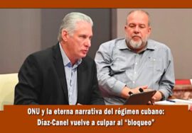 Nuevo Show en la ONU del régimen cubano