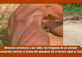 Denuncia de la falta de atención a los ancianos en cuba causa conmoción en las redes sociales