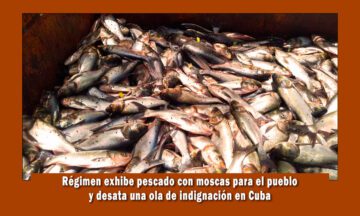 régimen de cuba muestra pescado con moscas para el pueblo