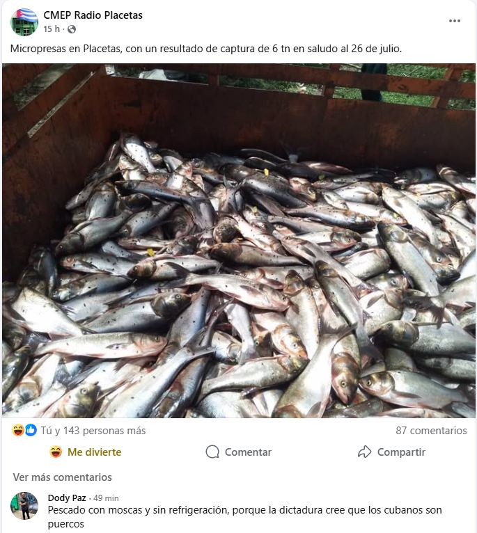 régimen muestra pescado con moscas para los cubanos