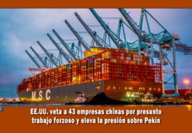 EE.UU.veta a 43 empresas por trabajo forzado