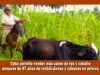 El régimen de Cuba permite la venta de carne de res y caballos