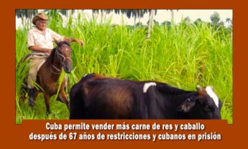 El régimen de Cuba permite la venta de carne de res y caballos
