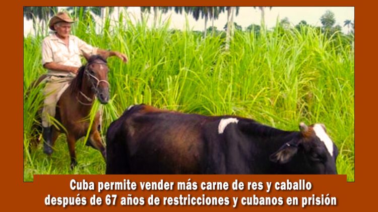 El régimen de Cuba permite la venta de carne de res y caballos