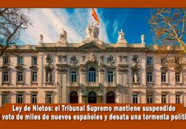suspensión del voto de los nacionalizados por la ley de nietos